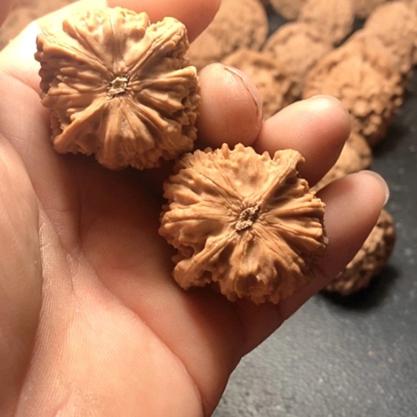 【闪购商品】徒*卧龙粗筋