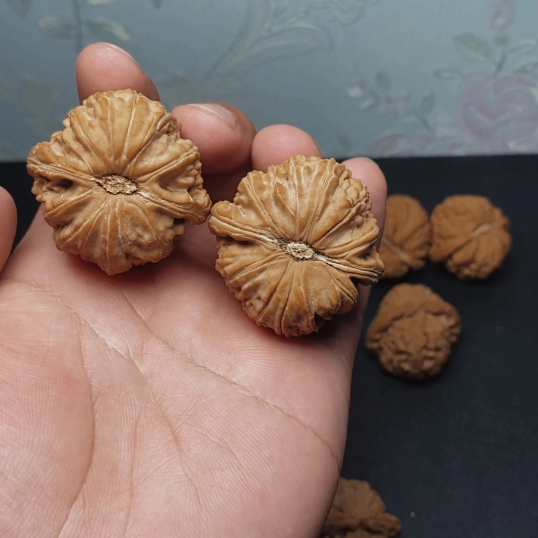 我****文玩核桃把件39白狮子