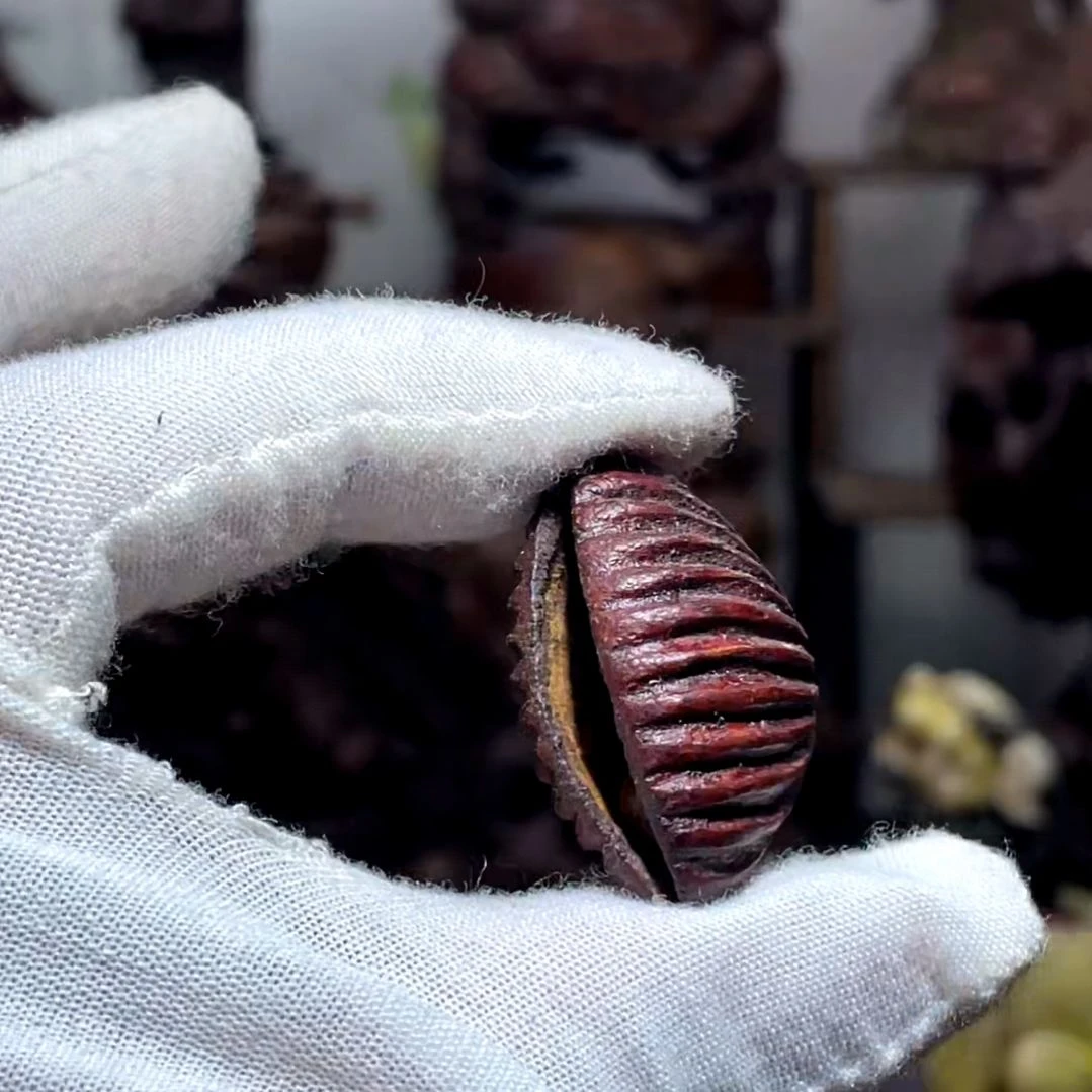 竹热闹矛盾问题不大不小