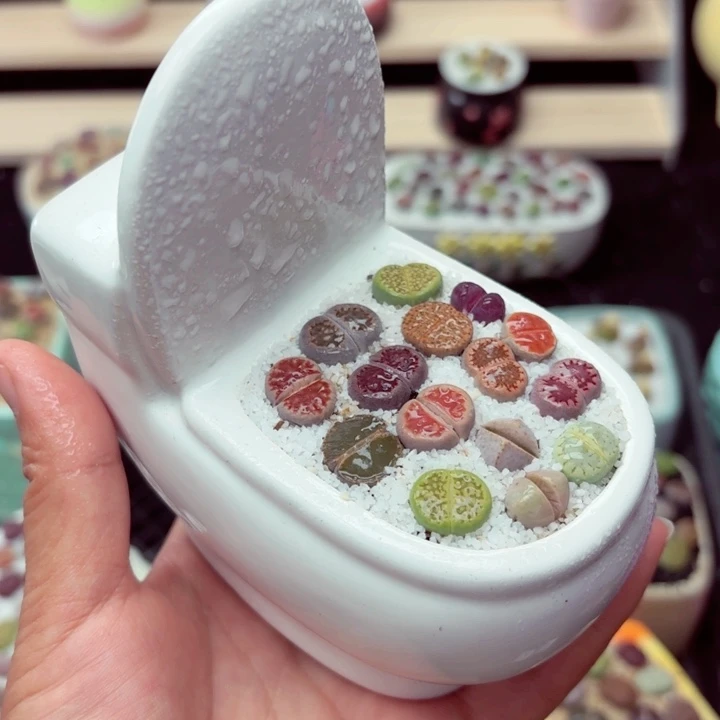 零下地区记得拍保温箱6020