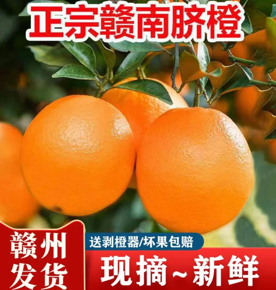 正宗赣南脐橙现摘现发应季水果香甜多汁产地直发