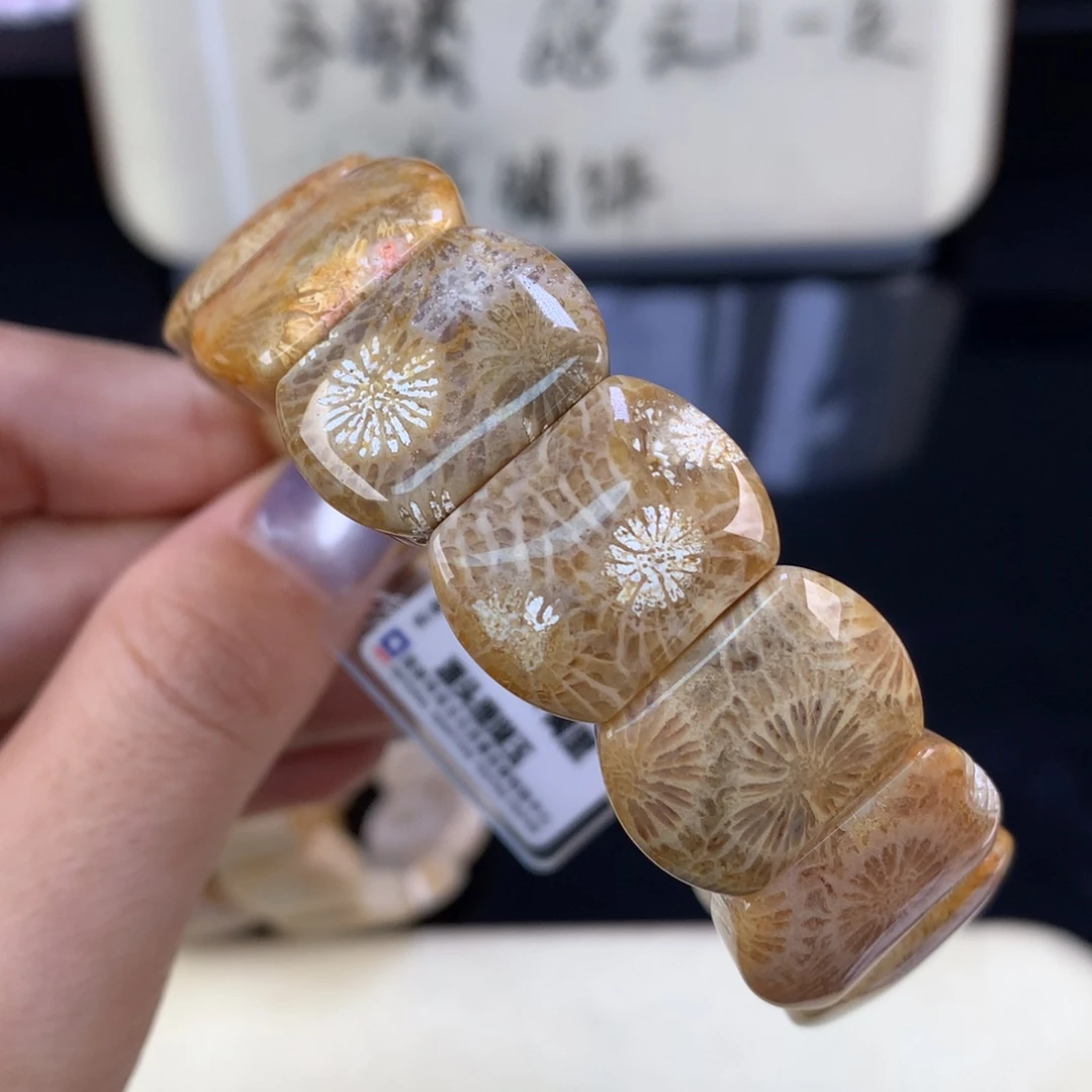 硅化珊瑚（珊瑚玉）未镶嵌吊坠(赠链)精美五折手牌（42号）