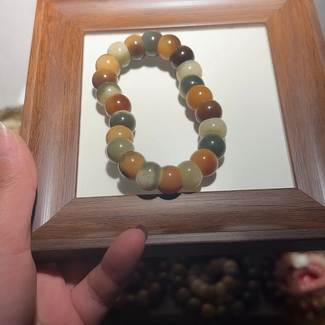 吊坠菩提根/象牙果