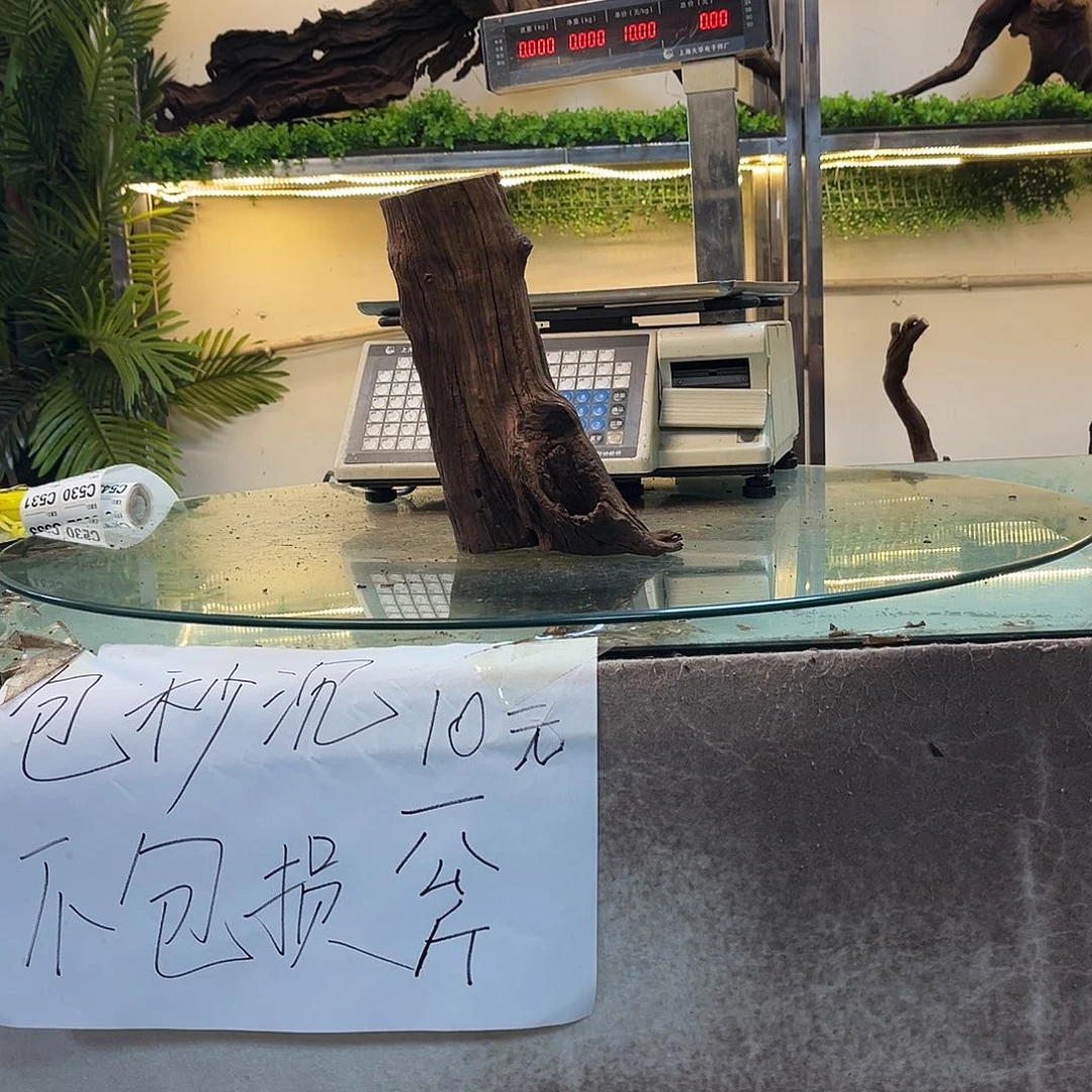 柚木沉木鱼缸造景