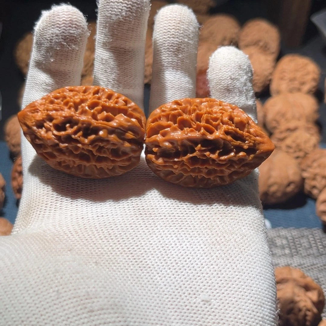 赵***核桃31.5全品毕业招财鼠