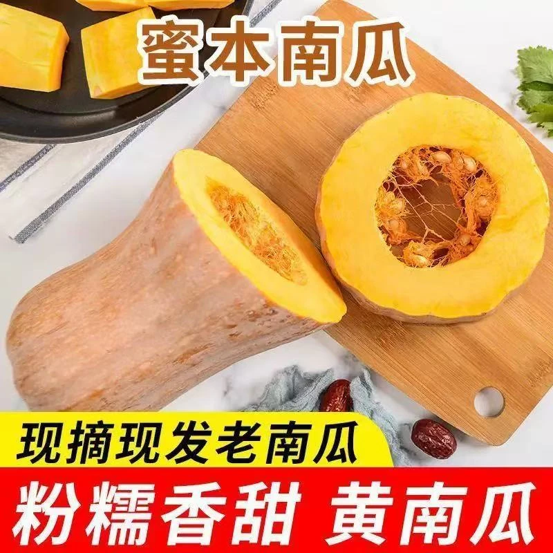 贵州蜜本南瓜老南瓜粉糯农家自种代餐5斤9斤宝宝辅食新鲜种植