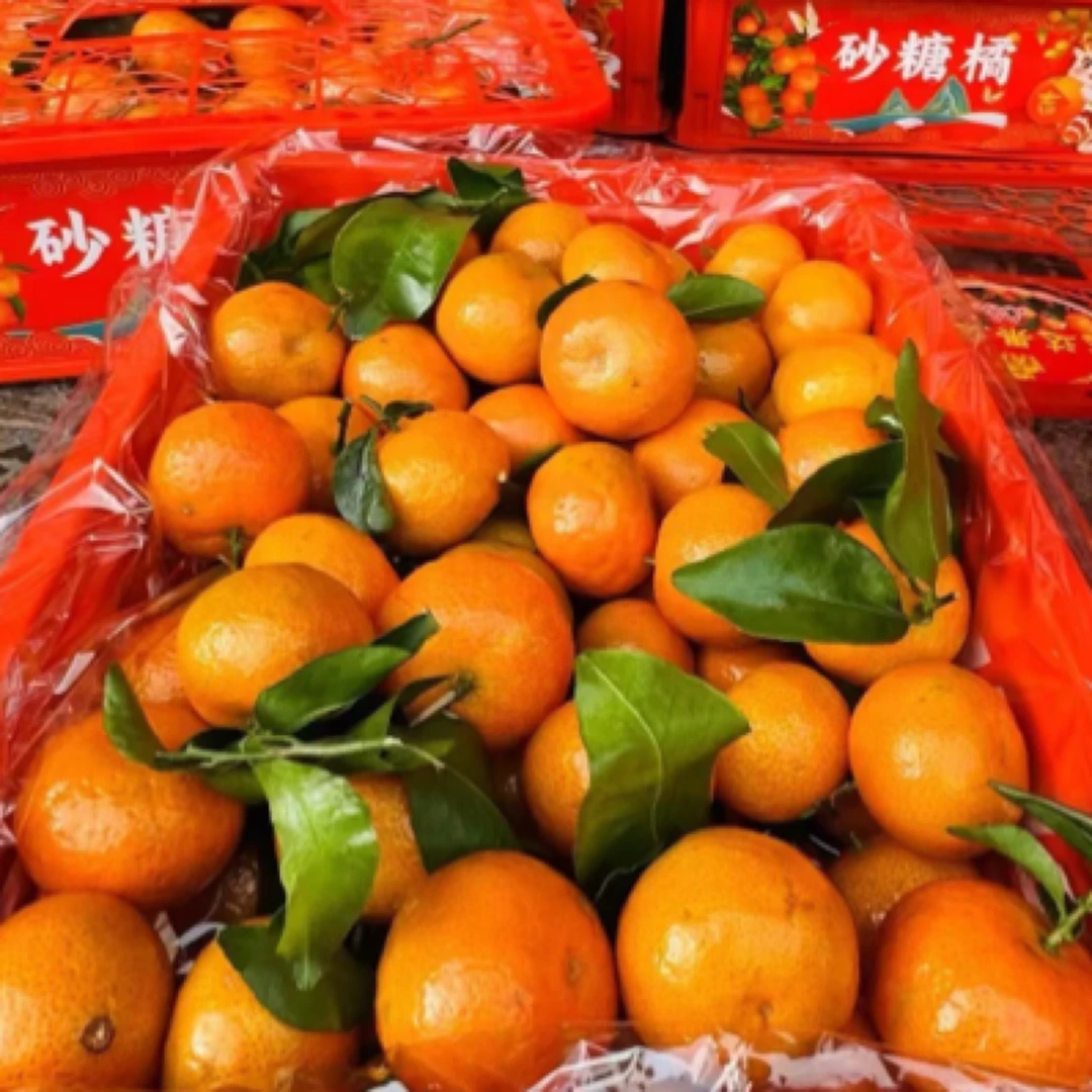 纯甜广西砂糖橘一箱（9斤装）