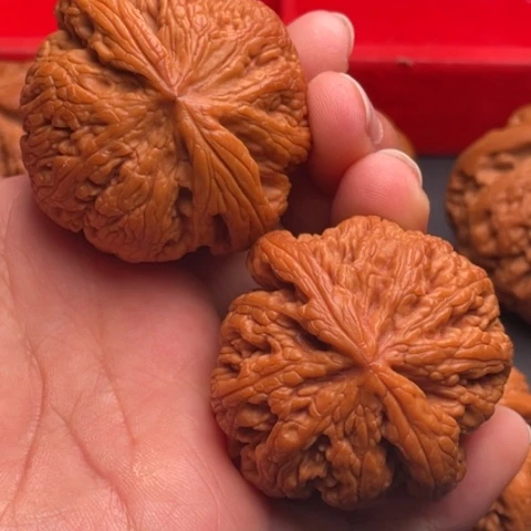 文玩核桃把件秦岭山脉核桃