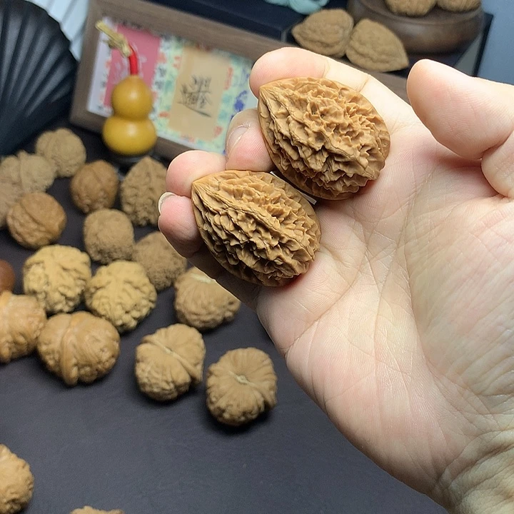 核桃31精品小招财鼠