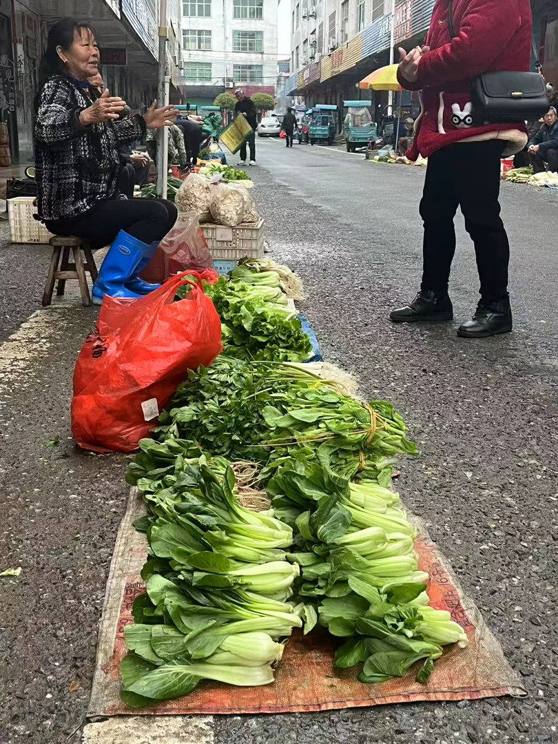 江西农村赶集新鲜蔬菜水果农产品500