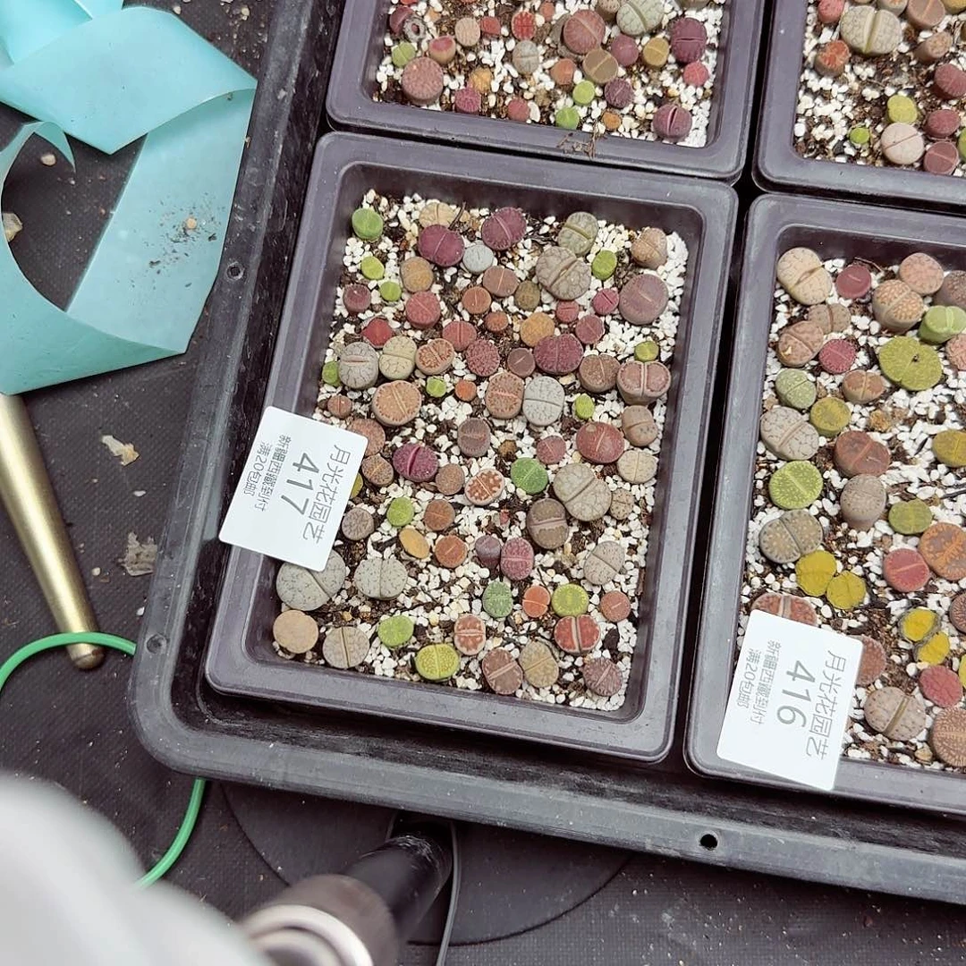 不能给孩子买什么了417这个