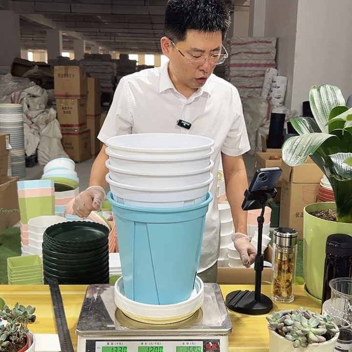 青山盆口24高24混色6个带托