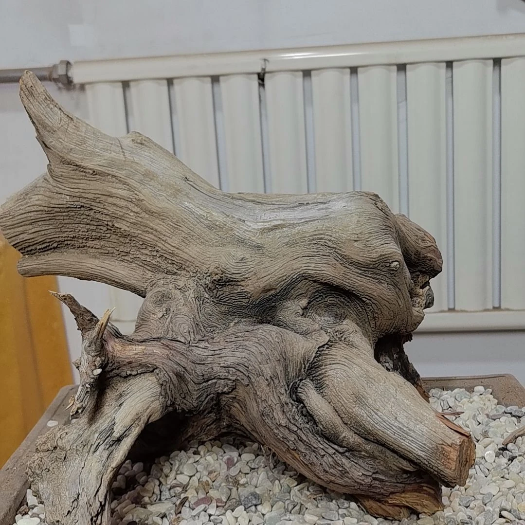 檀香紫檀（小叶紫檀）古**香