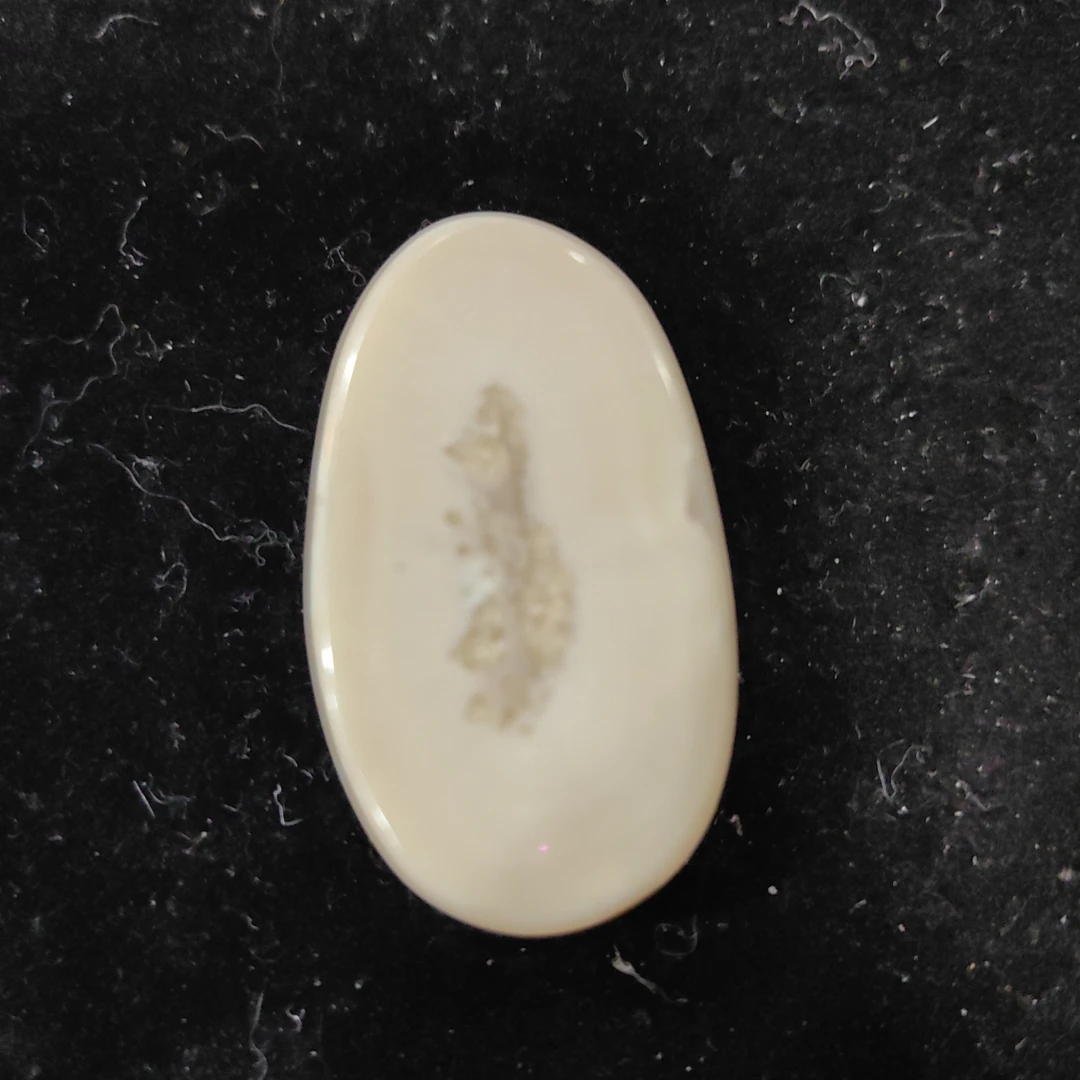 猛犸猛犸虬饼子WT690