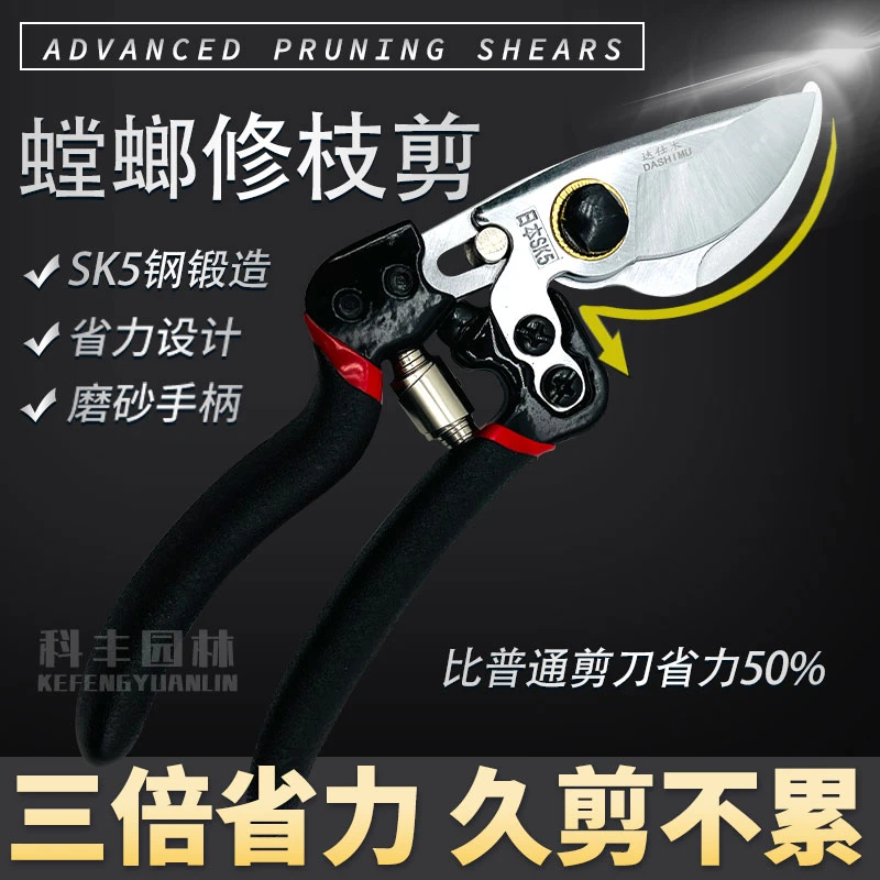 修剪树枝剪刀大粗枝专用剪刀剪树枝专剪子剪刀修剪树枝修枝剪