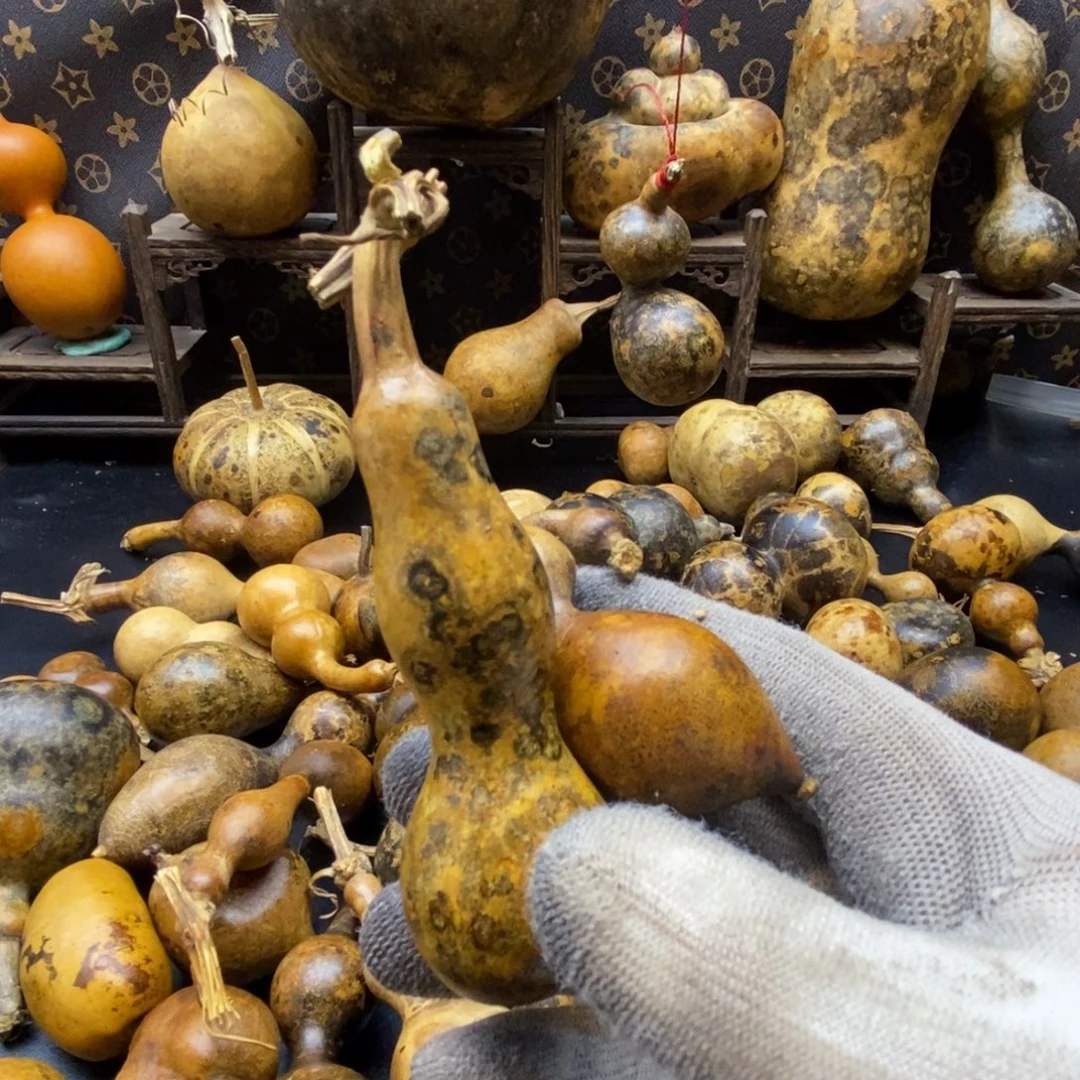 马***功哈哈哈哈哈哈哈哈哈哈哈哈哈哈哈哈哈哈