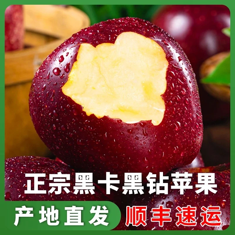 喵叔源选正宗云南黑卡苹果黑钻苹果昭通苹果香甜新鲜糖心顺丰到家