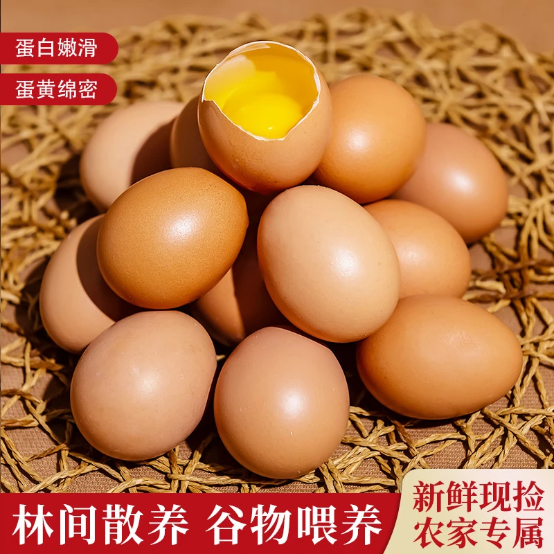 【精品】5斤装农家放养新鲜褐壳农家蛋营养丰富美味到家