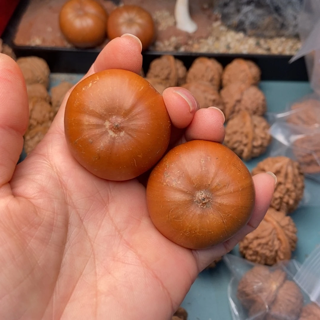 吊坠文玩核桃风流果45