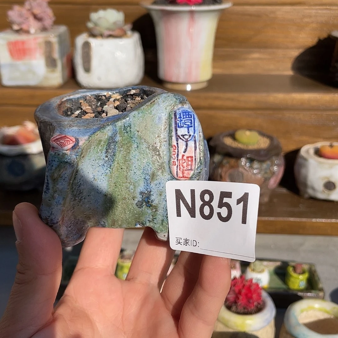 夕***］坛子姐老杨孤品内口4.3