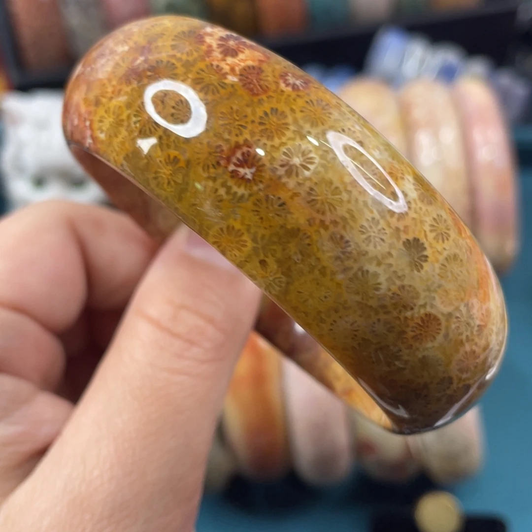 未镶嵌手镯硅化玉