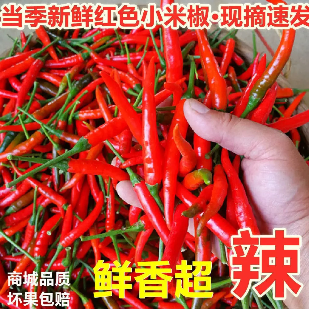 小米辣椒新鲜小米椒朝天椒特辣超辣薄皮土红辣椒指天椒包邮农家辣