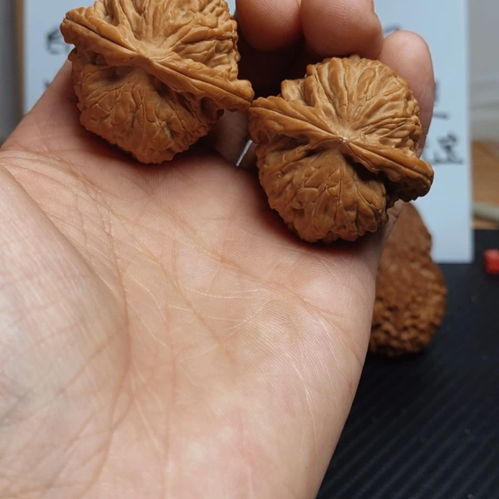 胖****核桃39尺寸白狮子一对