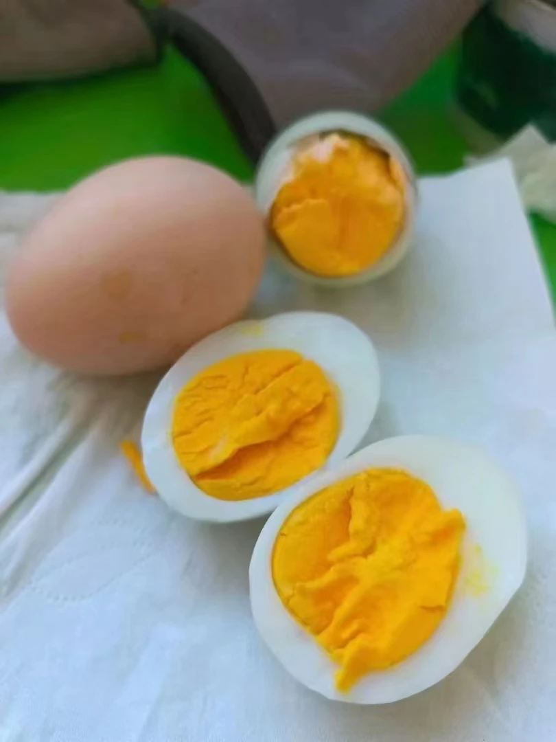 纯农村散养笨鸡蛋