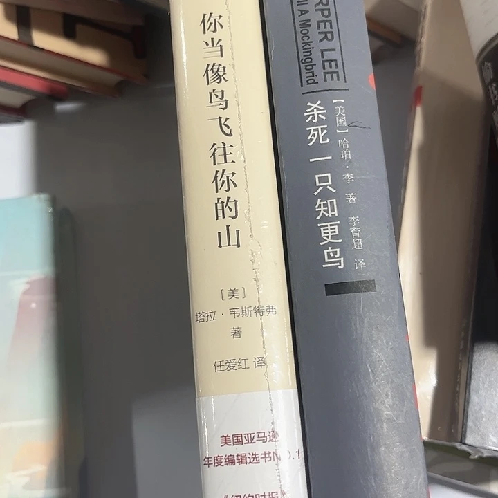 当鸟，知更鸟全新精装