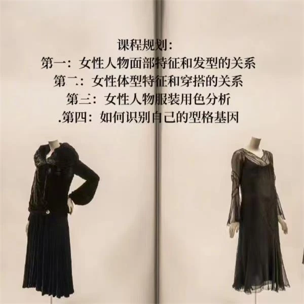 脸型体型色彩风格元素线上课程