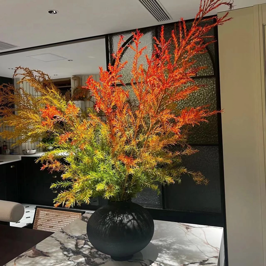 顺丰包邮千层金鲜花鲜切枝水培植物黄金香柳水养花卉绿植室内