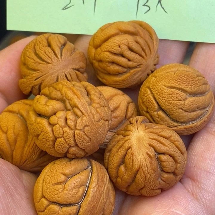 桃核吊坠秦岭龙纹桃核2.1尺寸