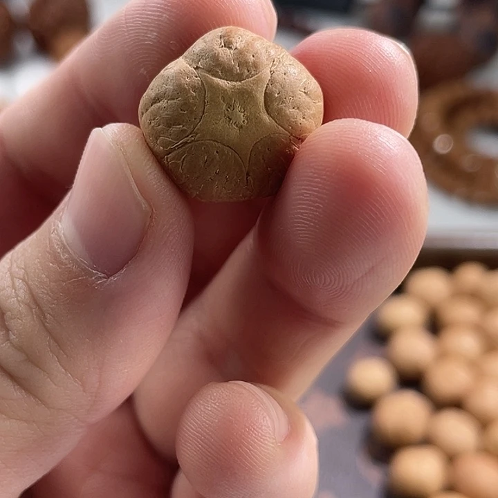 手串凤眼菩提尼泊尔小fy