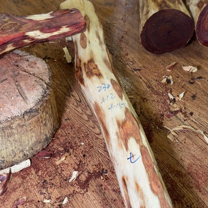 *****木海南，海北飞灰尘。甘受商于仪诳楚