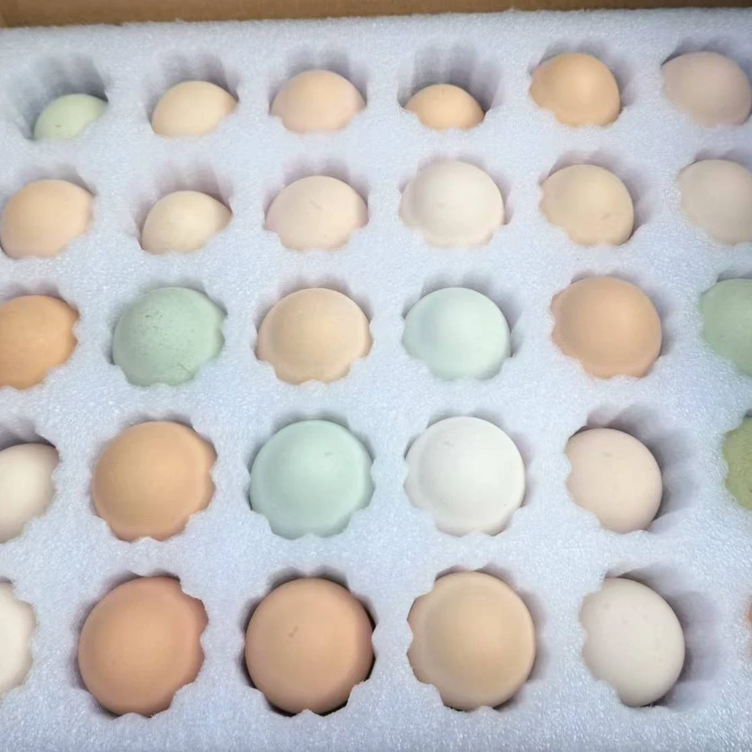 舟曲农家散养新鲜土鸡蛋正宗散养土鸡蛋健康营养适合孕妇和宝宝