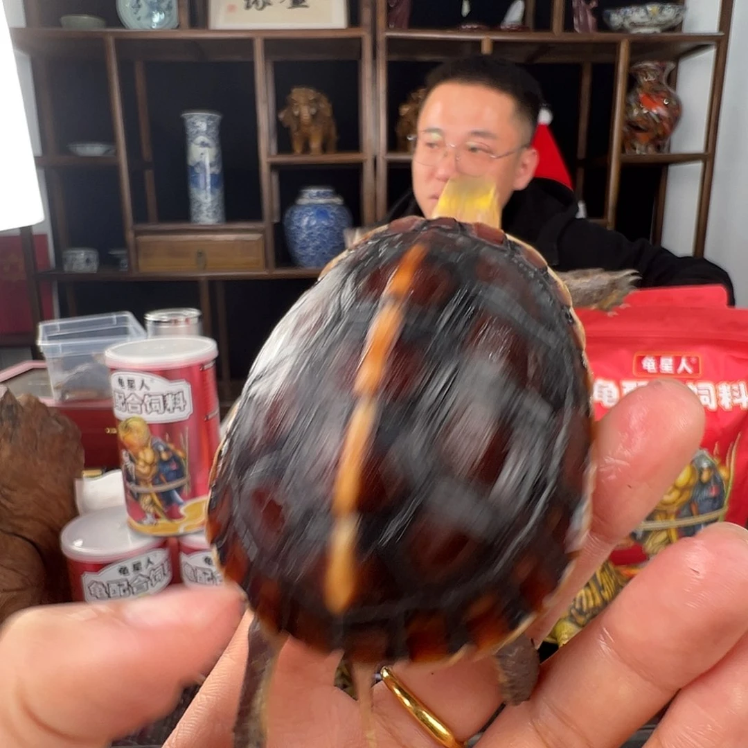 母海*安啦啦啦啦啦啦啦