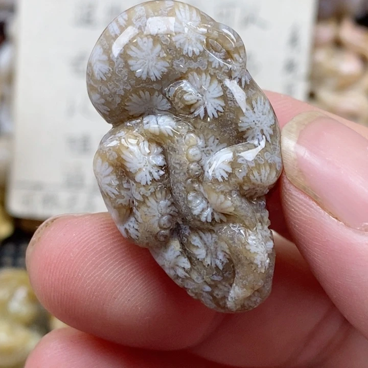 颈饰未镶嵌硅化珊瑚（珊瑚玉）