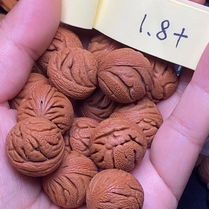 秦岭龙纹桃核14颗