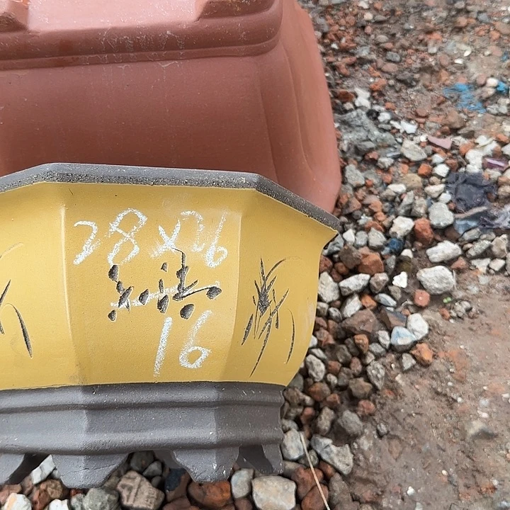 紫砂花盆紫砂花盆