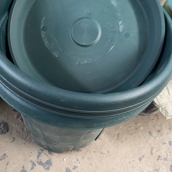 塑料瑕疵青山军绿6号 发3个盆2个托
