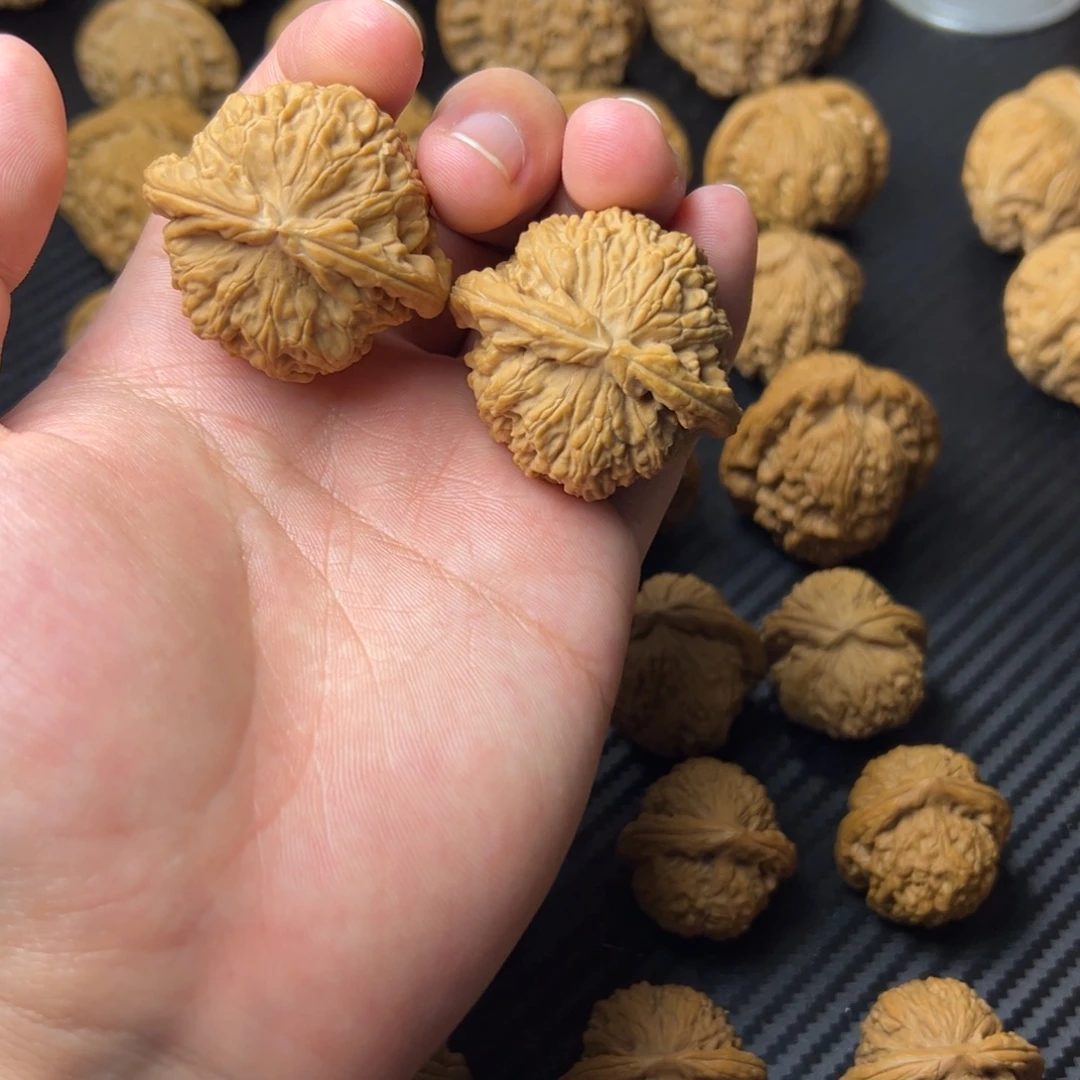 把件文玩核桃白狮子40