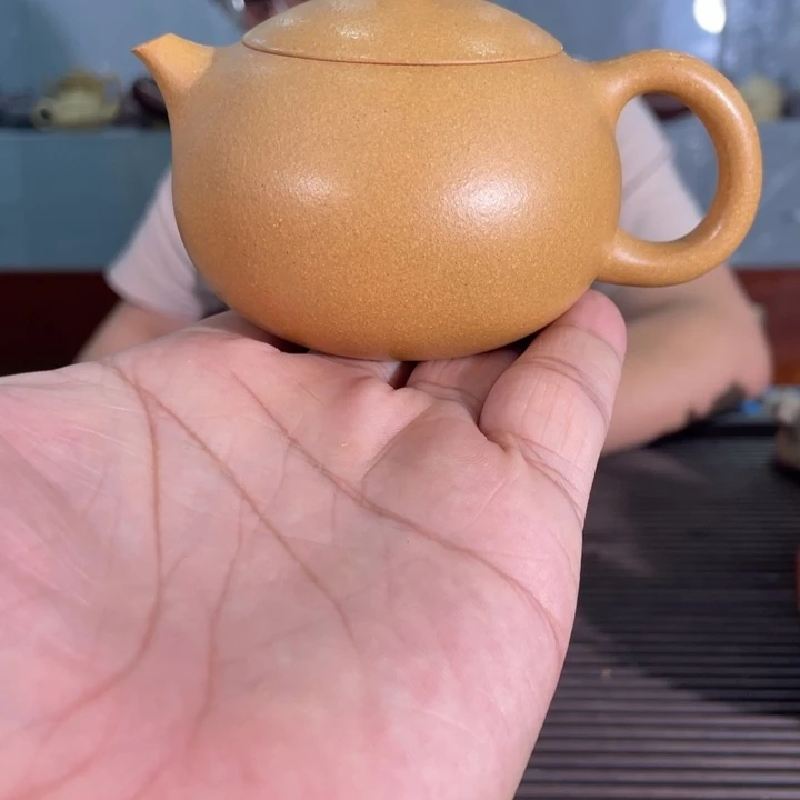 茶壶紫砂哈哈哈哈哈我真的好喜欢
