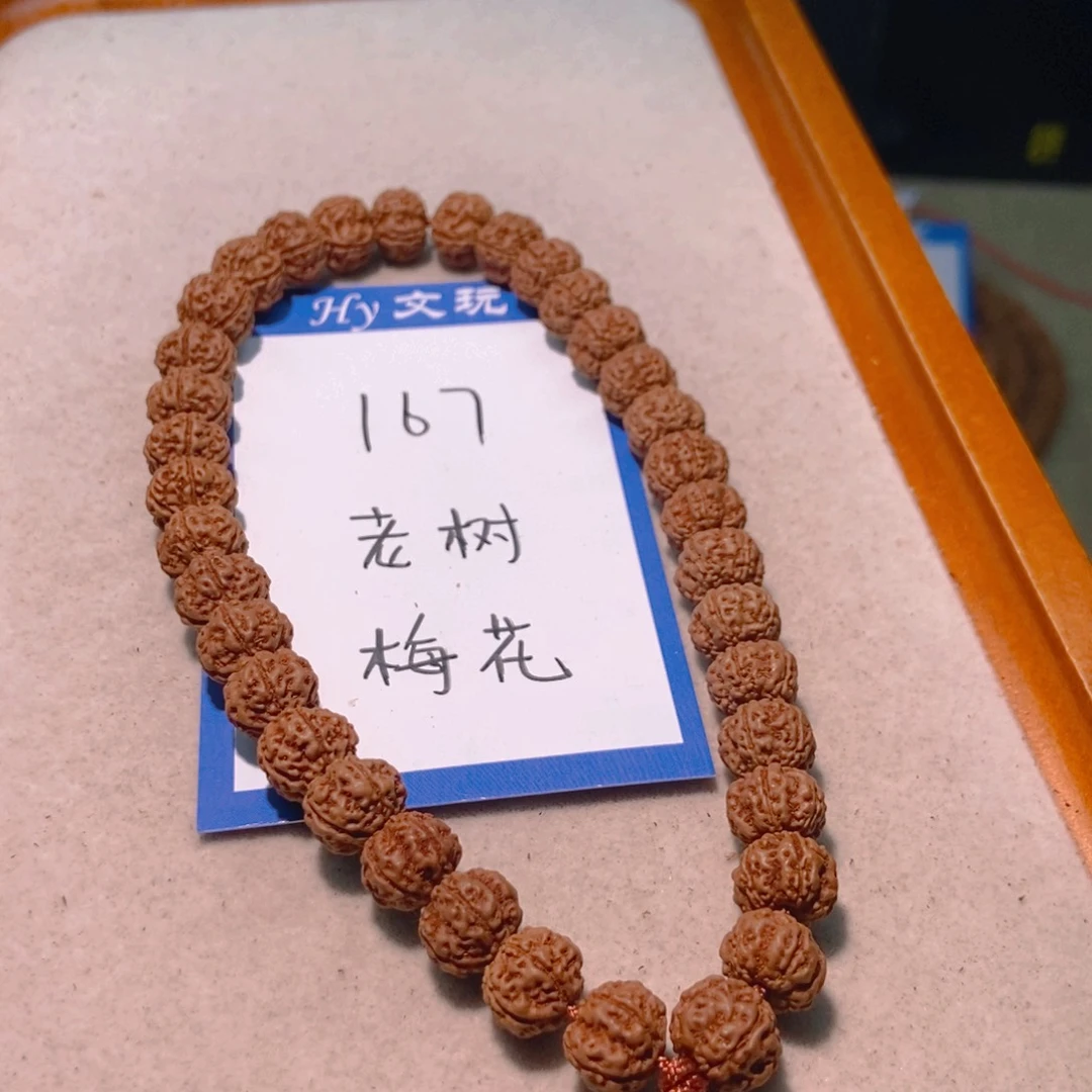 手串金刚菩提167老树梅花10