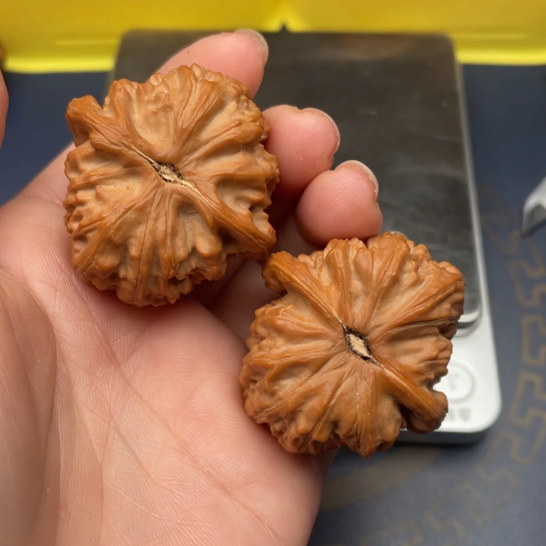 文玩核桃把件软***饼白狮子38