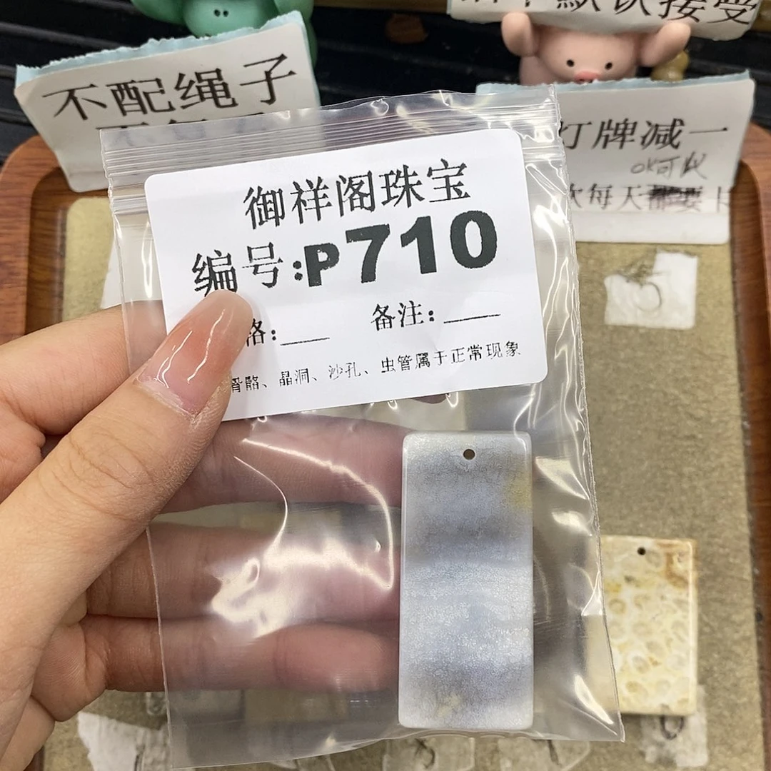 硅化珊瑚（珊瑚玉）未镶嵌颈饰C****9