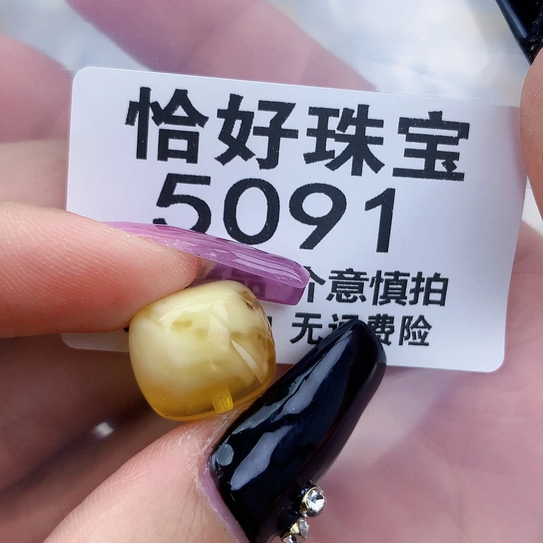 琥珀未镶嵌珠宝奇石14.2×12.5植物