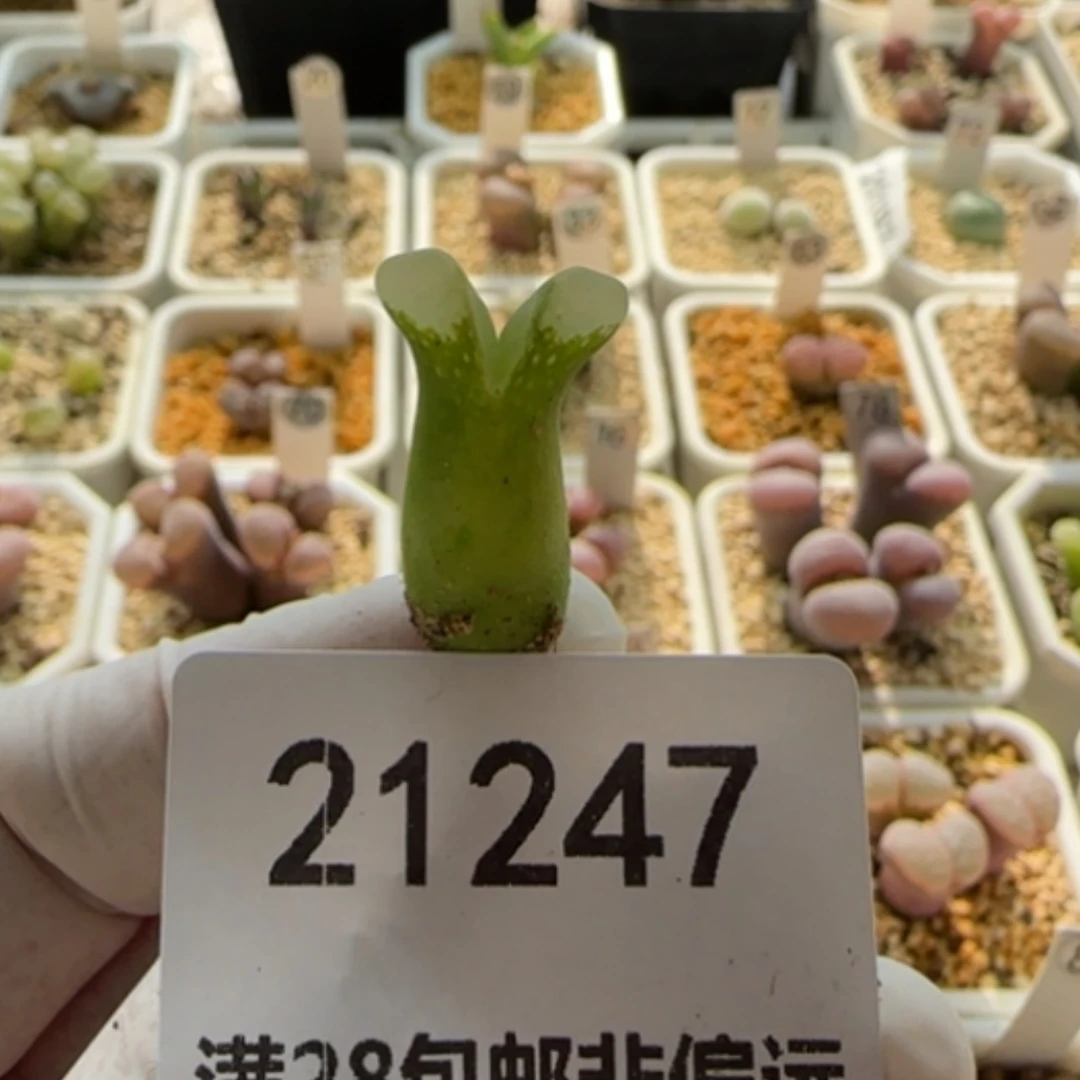 【闪购商品】21247奶瓶1416.4