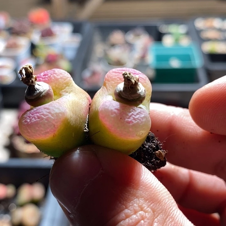 下**·21241一个一个一个