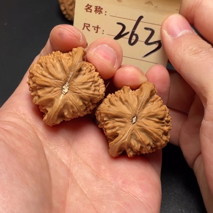 文玩核桃把件白狮子39尺全品白茬263