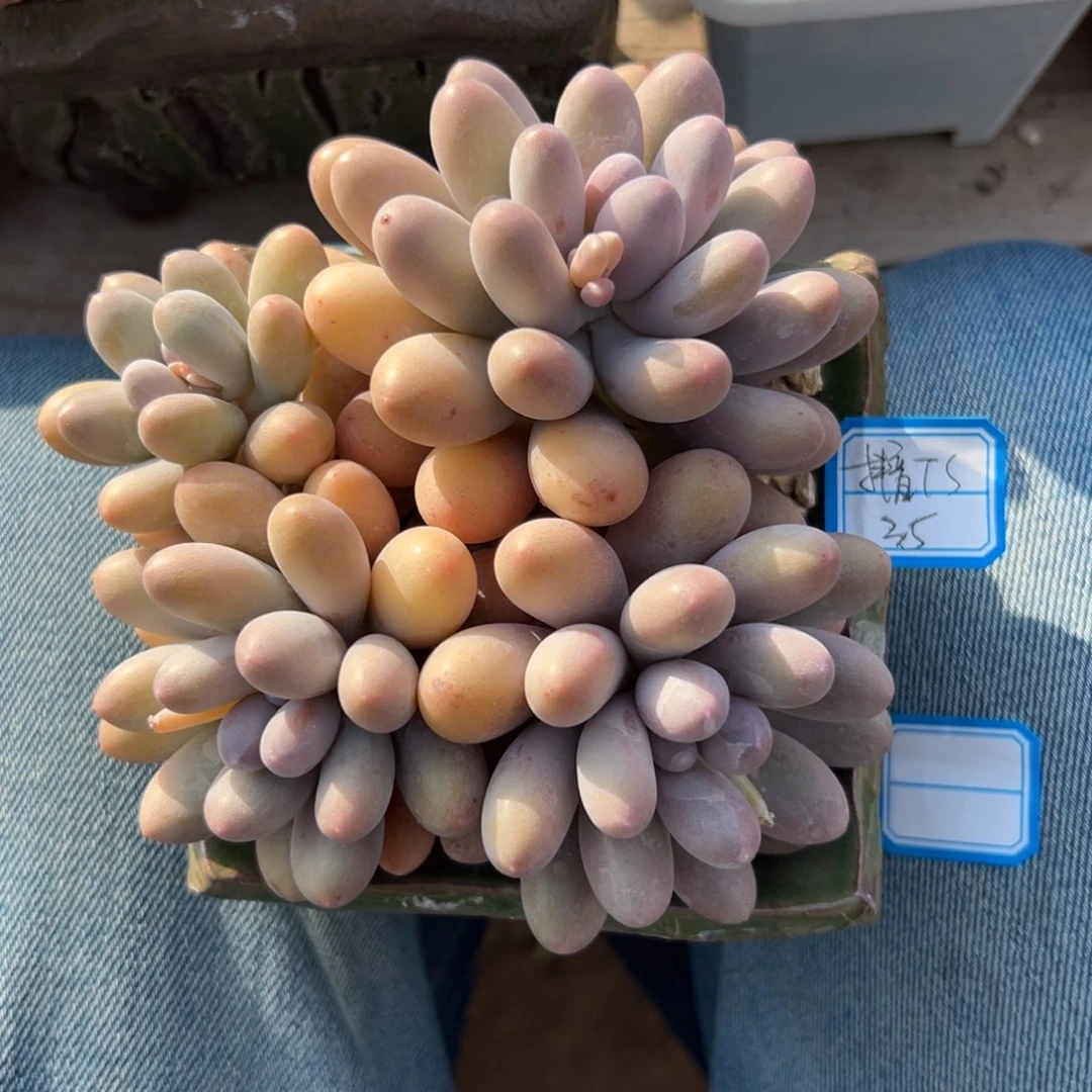 抖****界1111111111111111